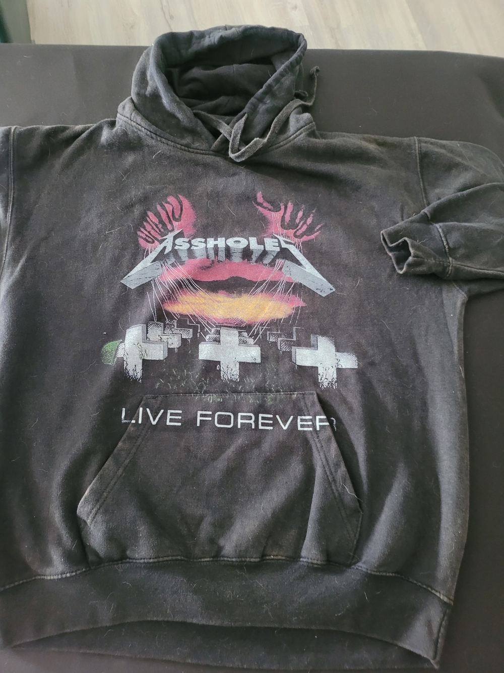 A.L.F Hoodie